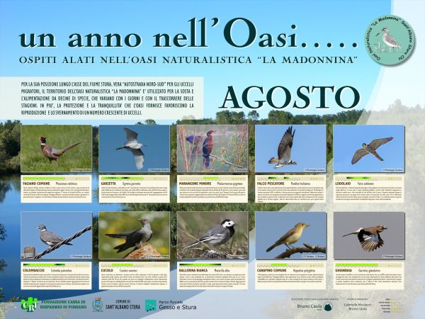 Agosto